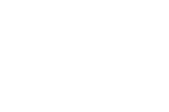 Dj Wild